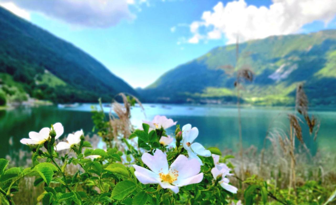 Emozioni Al Lago Farra d'Alpago Exterior foto